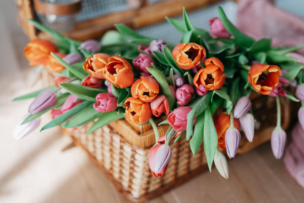 a picnic basket with tulips inside
