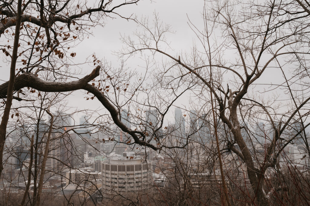 Majolica photo niall and lara surprise proposal at the mont royal 3