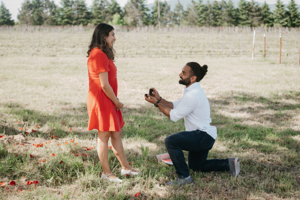 Majolica photo zenovia & akshat 31