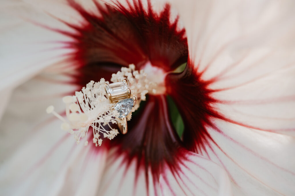 Majolica photo surprise proposal lloyd & vai 109
