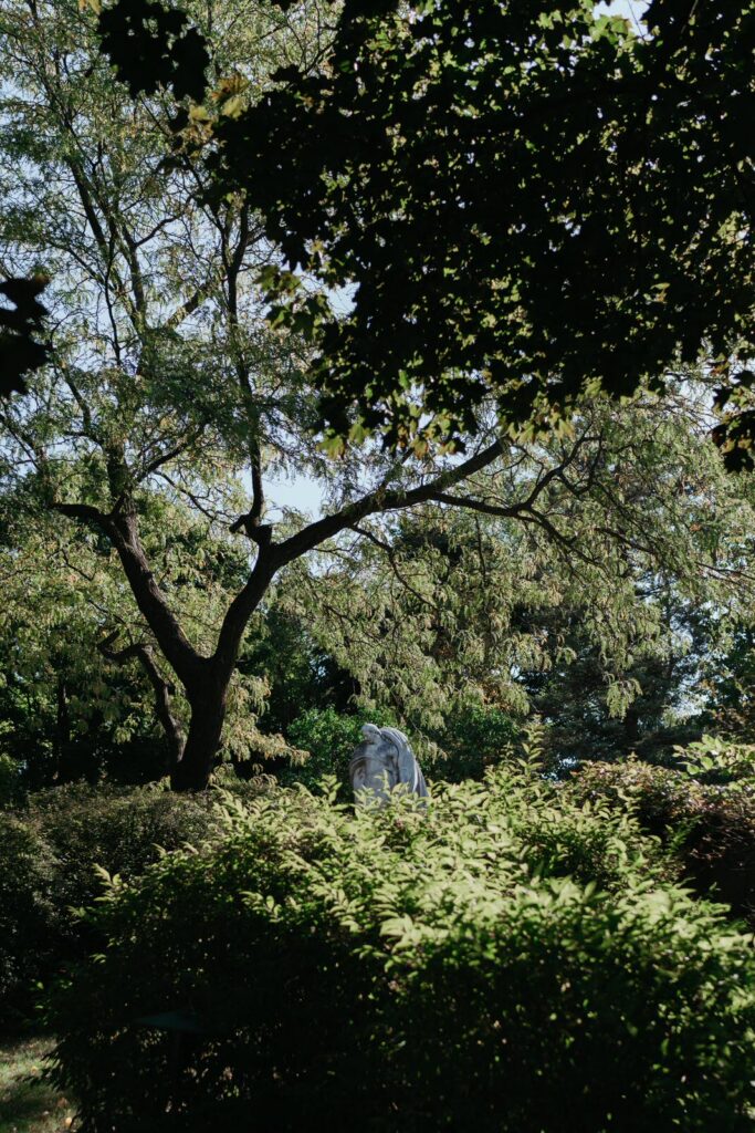 Majolica Photo Samudra & Anchal Proposal