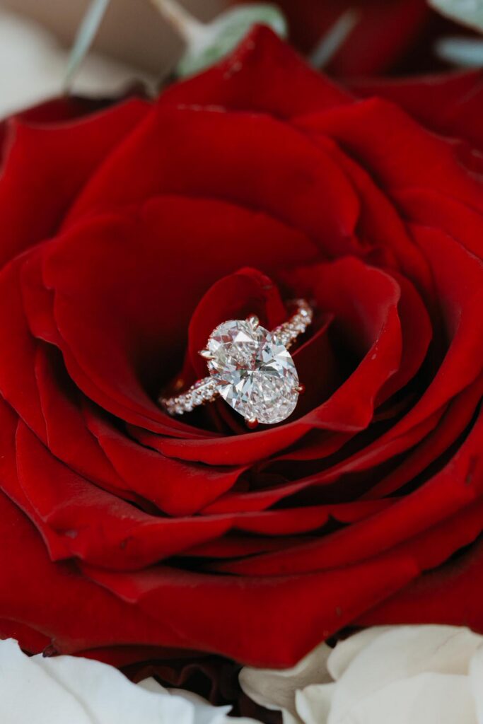 Majolica Photo Samudra & Anchal Proposal