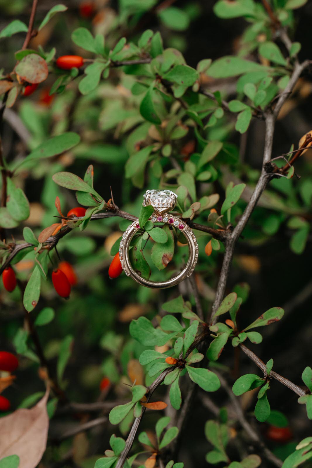 Majolica Photo Samudra & Anchal Proposal