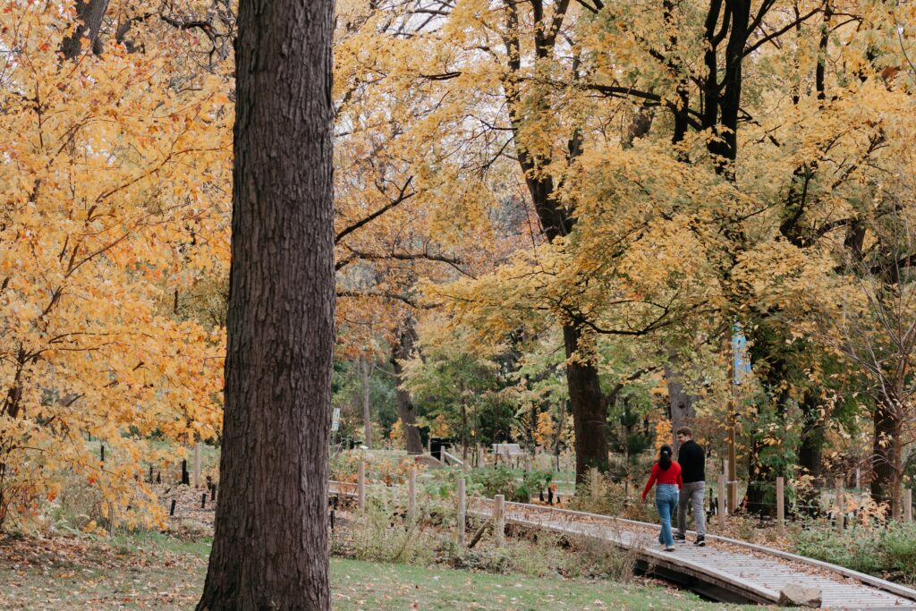 Majolica Photo Brock Proposal Parc Jean Drapeau