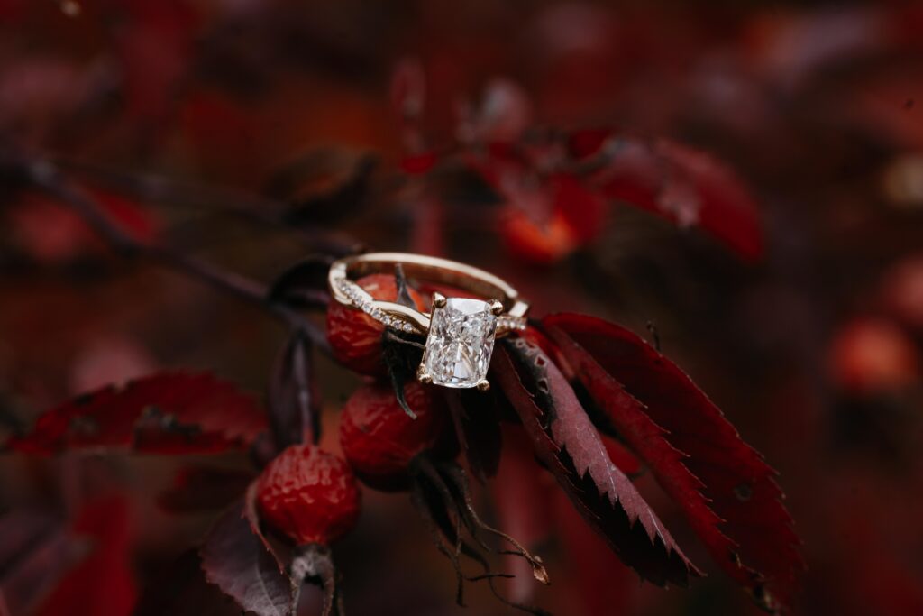 Majolica Photo Brock Proposal Parc Jean Drapeau