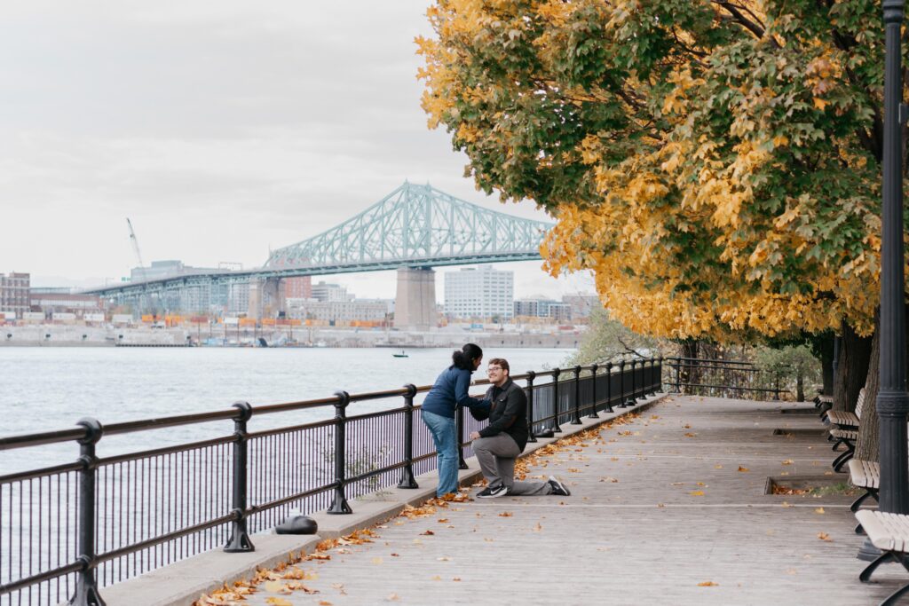 Majolica Photo Brock Proposal Parc Jean Drapeau