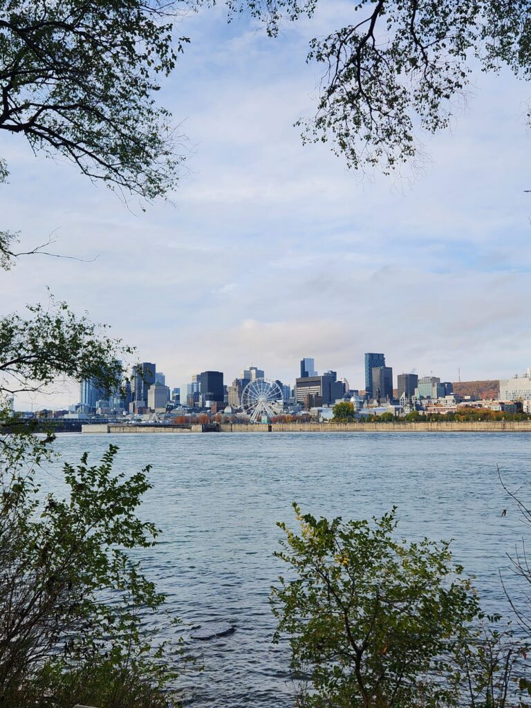 WhatsApp Image 2026 04 24 at 09.44.16