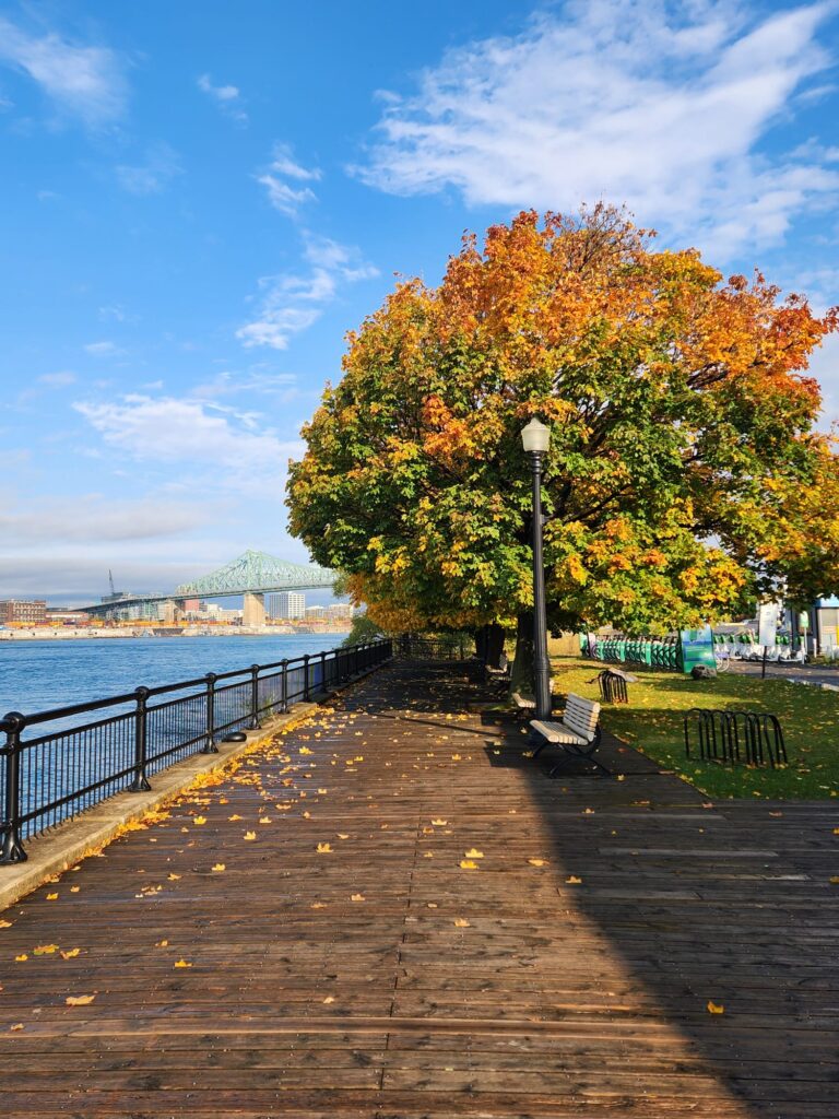 WhatsApp Image 2026 04 24 at 09.44.44